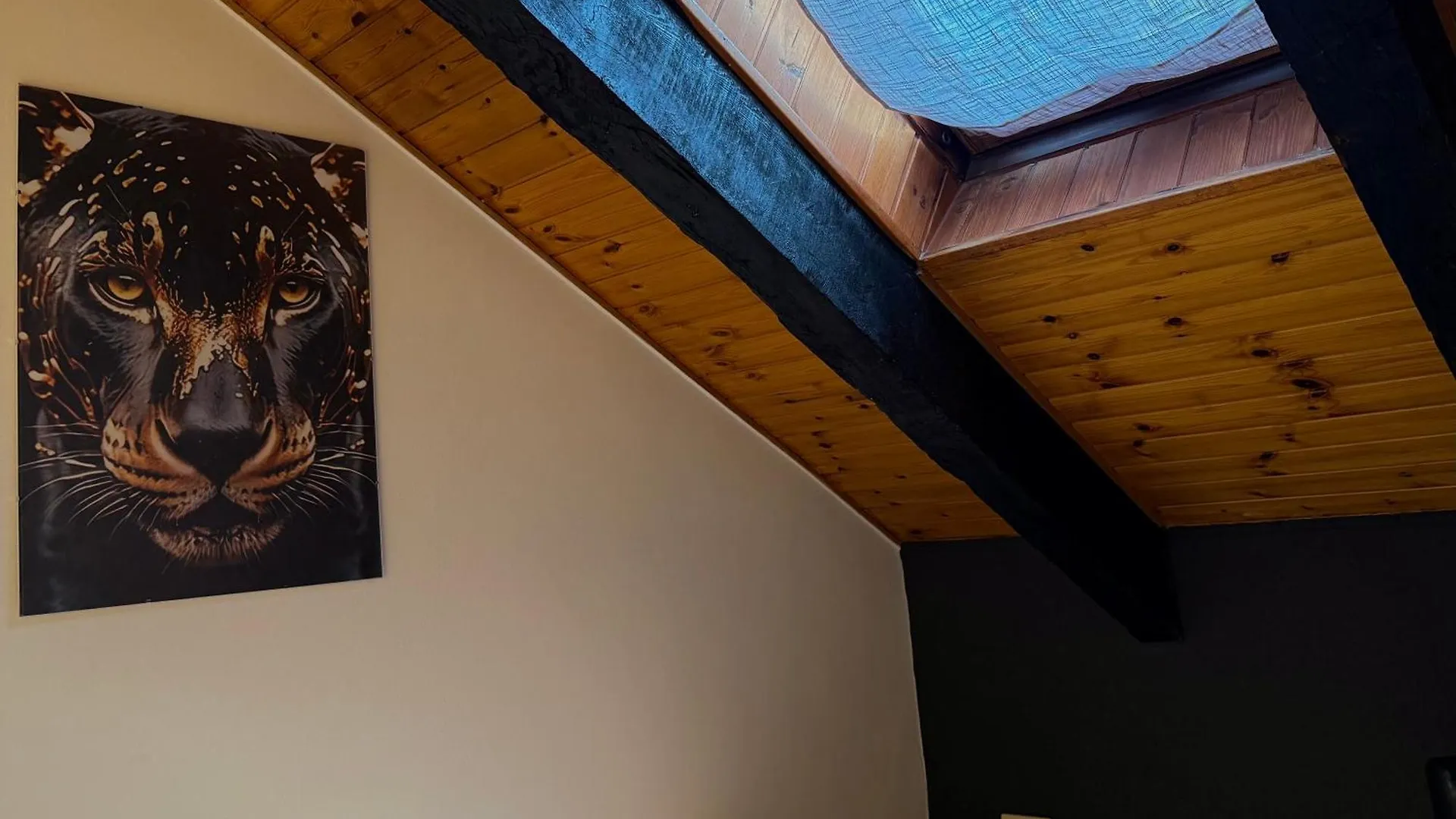 Hosting Dreams Attics - Duomo Apartment Milan Italy